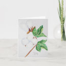 Search for cotton boll Farm