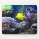 Search for aquarium fish mousepads Underwater