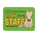 Search for cat magnets Illustration
