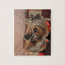 Search for yorkie puzzles Cute