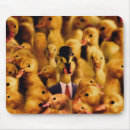Search for cute duck electronics Baby animals