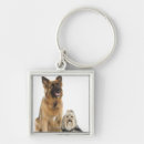 Search for shih tzu key rings Sitting