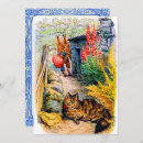 Search for beatrix potter cats Bunny