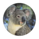 Search for koala cookware Marsupial