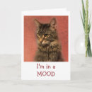 Search for no mood cards Cat