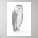 Search for black white owl posters Nature