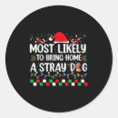 Search for strays stickers Bring home