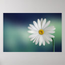 Search for delicate posters Floral