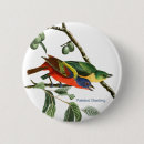 Search for birdwatcher badges Birder