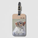 Search for squirrel photo accessories Adorable