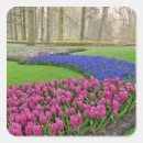 Search for hyacinth stickers Pink