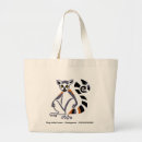 Search for ring tailed bags Lemur