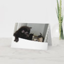 Search for escaping cards Cat