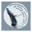Search for save the whales posters Endangered species