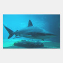 Search for shark photo stickers Animal