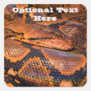 Search for snake scales stickers Reptile