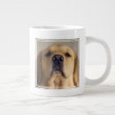 Search for big nose mugs Animal
