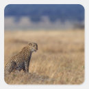 Search for wild side stickers Animal