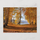 Search for autumn landscapes postcards Colour