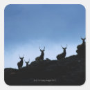 Search for deer stand stickers Standing