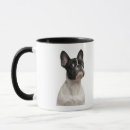Search for french bulldog puppy mugs Studio shot