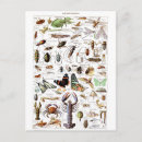 Search for arthropod postcards Illustration