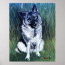 Search for norwegian elkhound Pet
