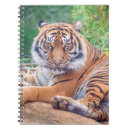 Search for tigers notebooks Wild animals