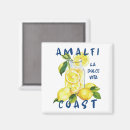 Search for amalfi magnets Limoncello