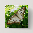 Search for tropical butterfly badges Exotic