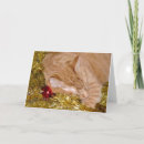 Search for orange cat christmas cards Ginger