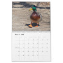 Search for bluebird calendars Chickadee