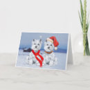 Search for westie dog christmas cards Pets