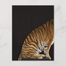 Search for platform postcards Animal