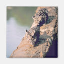 Search for logs magnets Nature