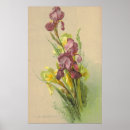 Search for klein art Vintage