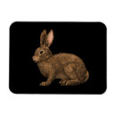 Search for realist cards Cute