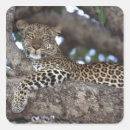 Search for one eye stickers Animal