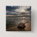 Search for shell badges Beach