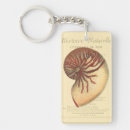 Search for shell key rings Sea