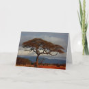 Search for arid cards Nature