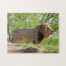 Search for lion king puzzles Cat