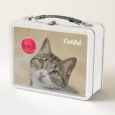 Search for funny lunch boxes Kitten
