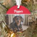 Search for doxie christmas tree decorations Dogs