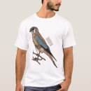 Search for kestrel tshirts Falco sparverius