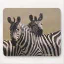 Search for nature reserve mousepads Animals in the wild