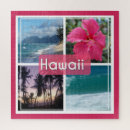 Search for oahu hawaii puzzles Palm trees