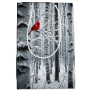 Search for cardinals on birch trees Forest