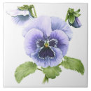 Search for pansy tiles Garden flowers