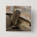 Search for captive badges Animal